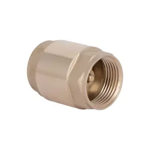 Зворотний клапан Thermo Alliance Base 3/4"ВВ Slim із латунним штоком TAB240W20S №2