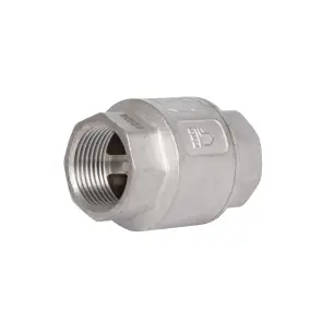 Зворотний клапан Thermo Alliance Standart з латунним штоком 3/4"ВВ посилений TAS246W20 №2