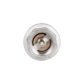 Зворотний клапан Thermo Alliance Standart з латунним штоком 3/4"ВВ посилений TAS246W20 №4