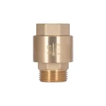 Клапан зворотний Thermo Alliance Standart 1"ВЗ із латунним штоком TAS248W25
