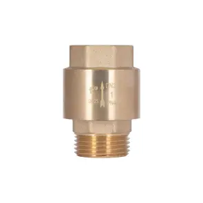 Клапан зворотний Thermo Alliance Standart 1"ВЗ із латунним штоком TAS248W25 №5