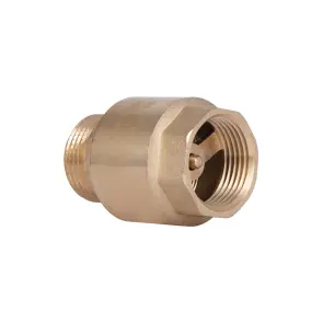 Клапан зворотний Thermo Alliance Standart 1"ВЗ із латунним штоком TAS248W25 №12