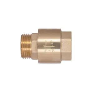 Клапан зворотний Thermo Alliance Standart 1"ВЗ із латунним штоком TAS248W25 №15