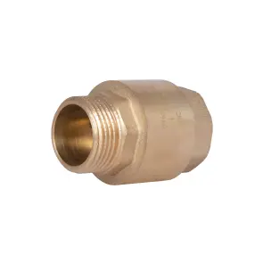 Клапан зворотний Thermo Alliance Standart 1"ВЗ із латунним штоком TAS248W25 №16