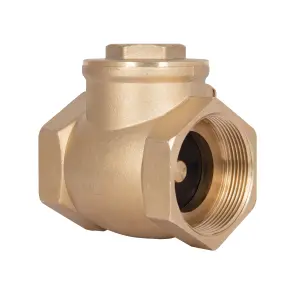 Зворотний клапан Thermo Alliance Standart 2" SD242W50 №2