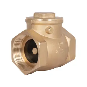 Зворотний клапан Thermo Alliance Standart 2" SD242W50 №1