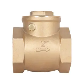 Зворотний клапан Thermo Alliance Standart 2" SD242W50 №3