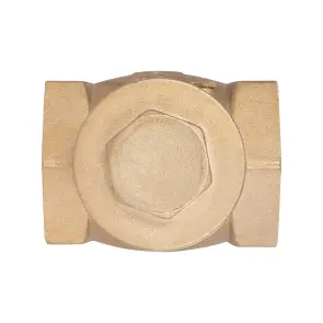 Зворотний клапан Thermo Alliance Standart 2" SD242W50 №4