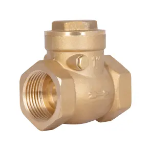 Зворотний клапан Thermo Alliance Standart 1" SD242W25 №1