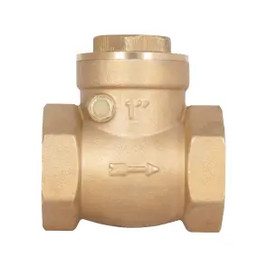Зворотний клапан Thermo Alliance Standart 1" SD242W25 №3