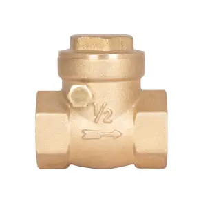 Зворотний клапан SD Plus 1/2" SD242W15 №2