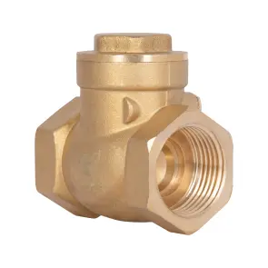 Зворотний клапан Thermo Alliance Standart 1" SD242W25 №2