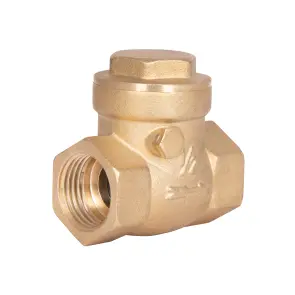 Зворотний клапан SD Plus 1/2" SD242W15 №1