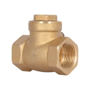 Зворотний клапан Thermo Alliance Standart 3/4" SD242W20 №10