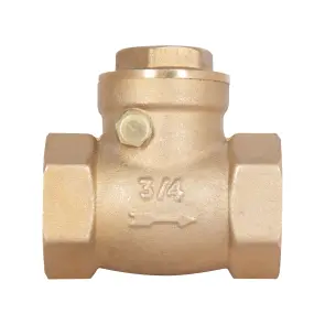 Зворотний клапан Thermo Alliance Standart 3/4" SD242W20 №13