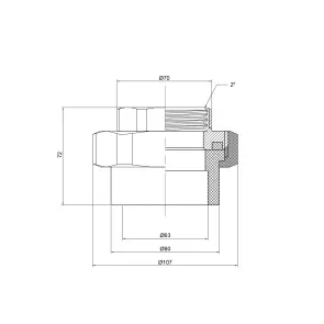 Угон "Американка" PPR Thermo Alliance 63х2" ВР №2
