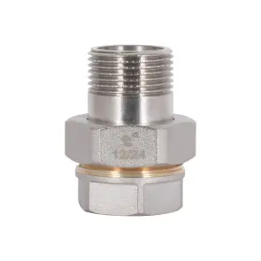 Згін-американка Thermo Alliance Standart 3/4"ВЗ нікель, прямий TAS190W20 №1