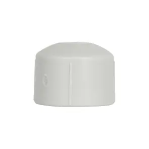 Заглушка PPR Thermo Alliance 20 №3