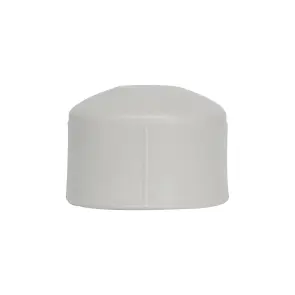 Заглушка PPR Thermo Alliance 25 №2