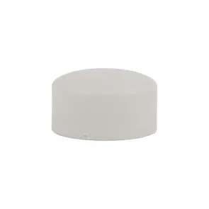 Заглушка PPR Thermo Alliance 40 №2