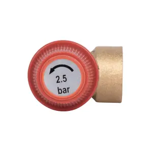Запобіжний клапан Thermo Alliance Standart 1/2" ВР 2,5 бар SD24425 №18