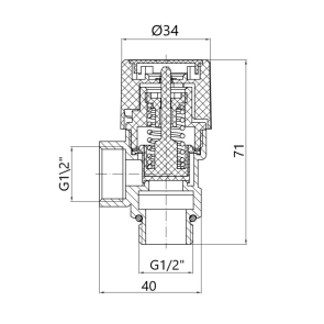 Запобіжний клапан Thermo Alliance Standart 1/2"ВЗ 6 бар TAS2446 №4