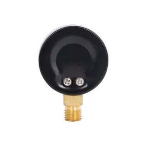 Манометр Thermo Alliance Standart 50 мм 1/4", нижнє підмикання SD1704B №5