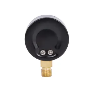 Манометр Thermo Alliance Standart 10 бар 1/4", нижнє підмикання SD17010B №6