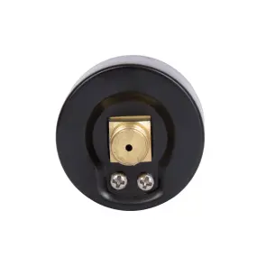Манометр Thermo Alliance Standart 6 бар 1/4" , заднє підмикання SD1716B №5