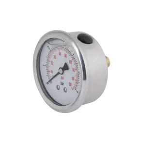 Манометр із гліцерином Thermo Alliancе Forte 6 бар, 1/4"З, заднє підключення TAF171G6B №3
