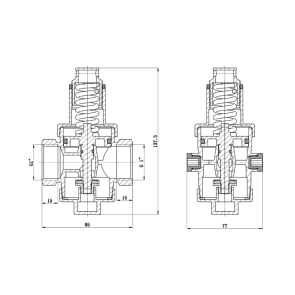 Редуктор Thermo Alliance Standart 1" SF242W25 №3