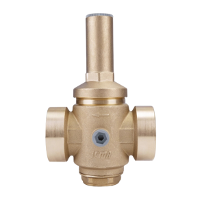 Редуктор Icma 2" №246 №6