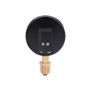 Термоманометр Thermo Alliance Standart 80 мм 1/2", нижнє підмикання SD1726B №5