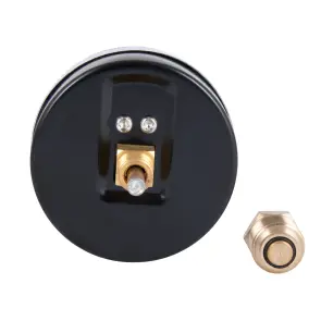 Термоманометр Thermo Alliance Standart 80 мм 1/2", заднее подключение SD1734B №5