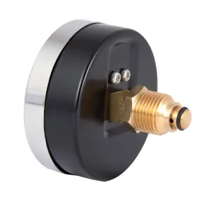Термоманометр Thermo Alliance Standart 80 мм 1/2", заднє підмикання SD1736B №3