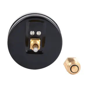 Термоманометр Thermo Alliance Standart 80 мм 1/2", заднє підмикання SD1736B №4