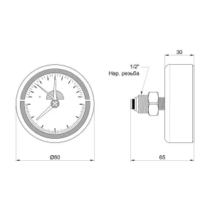 Термоманометр Thermo Alliance Standart 80 мм 1/2", заднее подключение SD17310B №2