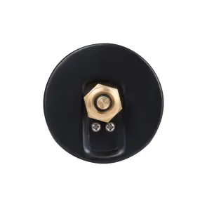 Термоманометр Thermo Alliance Standart 80 мм 1/2", заднее подключение SD17310B №4