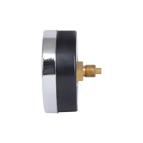 Термоманометр Thermo Alliance Standart 80 мм 1/2", заднее подключение SD17310B №6