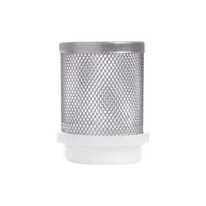 Сітка зворотного клапана Thermo Alliance Standart 1 1/4 SD245W32 №2