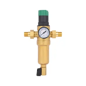 Фільтр самопромивний Thermo Alliance Forte 1/2 "з редуктором для горячої води SF128W15H №1