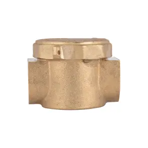 Фільтр латунний Thermo Alliance Standart 1/2" SD120G15 №1