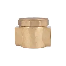 Фильтр латунный SD Plus 3/4" SD120G20