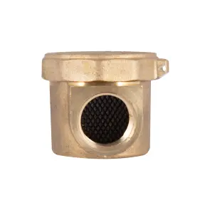 Фільтр латунний Thermo Alliance Standart 1/2" SD120G15 №4