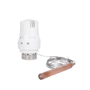 Термоголовка Thermo Alliance Standart М30х1,5 (20-50℃) с выносным датчиком TAS34150 №1