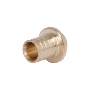 Заглушка натяжна Icma №1042 d20х2,8 851042GW05 №1