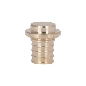 Заглушка натяжна Icma №1042 d20х2,8 851042GW05 №3