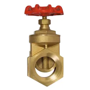 Задвижка ЭКО PN16 1 1/2" №2