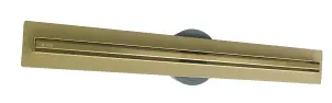 Трап для душу VBI FORT SLIM 80 BRUSHED GOLD №1