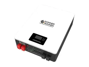 Аккумулятор LiFePO₄ KS LB 48–100 №2
